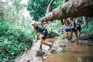 BIB: 
                            <button type="button" onclick="openModal(25374942)" class="btn btn-primary btn-sm float-right btn-popup" data-toggle="modal" data-target=".modal-high-quality">
                        <i class="fas fa-shopping-cart"></i> Add to Cart
                    </button>
                                            <button type="button" onclick="isThisMe(25374942, true)" class="btn btn-success btn-sm float-right btn-popup btn-isme hidden" data-toggle="tooltip" data-placement="bottom" title="นี่คือรูปของคุณใช่ไหม คลิกที่นี่เพื่อเอาเข้าอัลบั้ม">
                        <i class="fas fa-plus"></i> Add to album
                    </button>
                    <button type="button" onclick="isThisMe(25374942, false)" class="btn btn-warning btn-sm float-right btn-popup btn-isnotme hidden">
                        <i class="fas fa-ban"></i> Remove from album
                    </button>